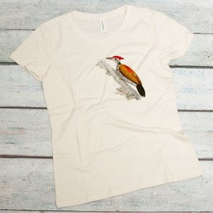 Indian Three-toed Woodpecker with gold back and red head on a women's organic cotton t-shirt in natural color 