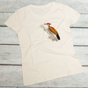 Indian Three-toed Woodpecker with gold back and red head on a women's organic cotton t-shirt in natural color